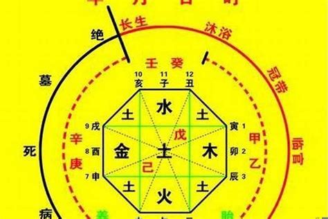 印星為用神職業|八字命理取象